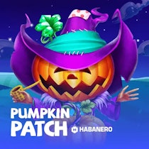 Pumpkin Patch