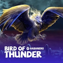Bird of Thunder