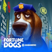 Fortune Dogs