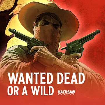 Imagem do jogo Wanted Dead or a Wild