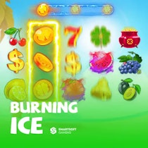 Burning Ice