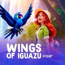 Wings of Iguazu