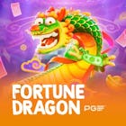 Fortune Dragon Fortune Dragon