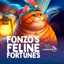 Fonzo's Feline Fortunes