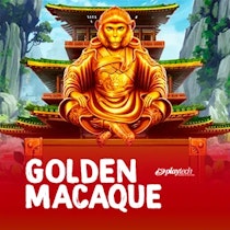 Golden Macaque